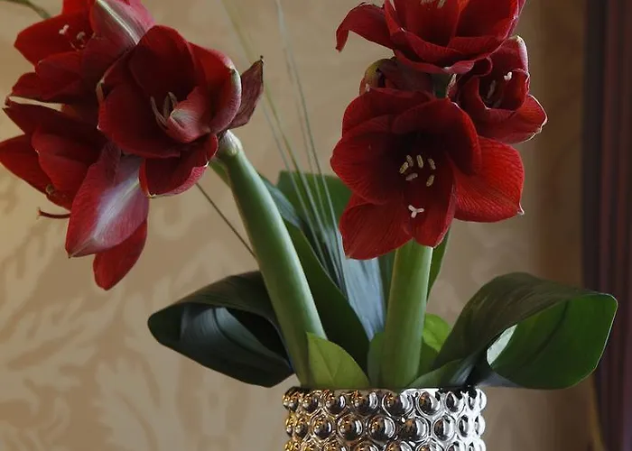 Hotel Arcadia Boutique 3*